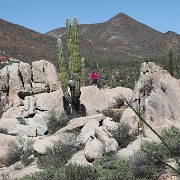 IMG 0023 (2)